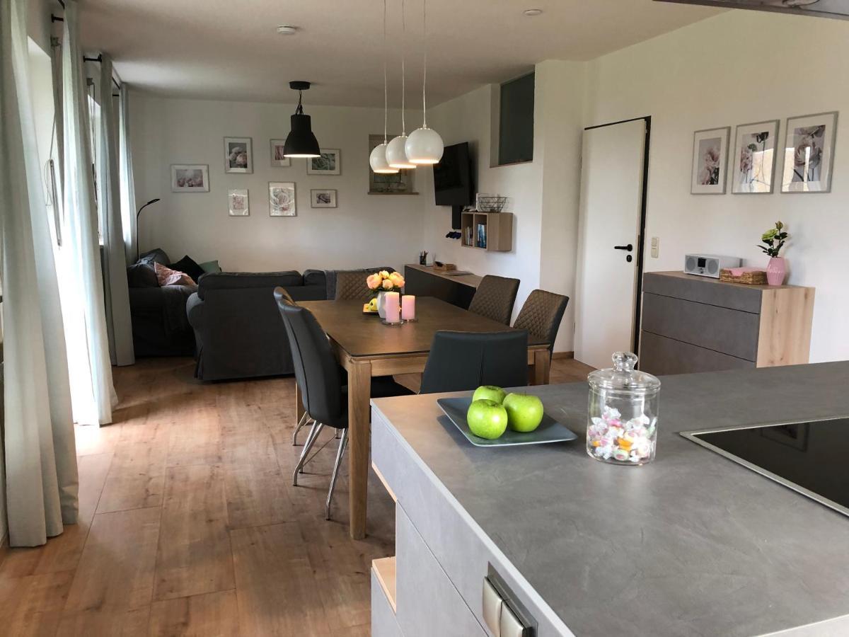 Haus Am Spitalgarten Fuer 10 Personen Gundelfingen an der Donau 외부 사진