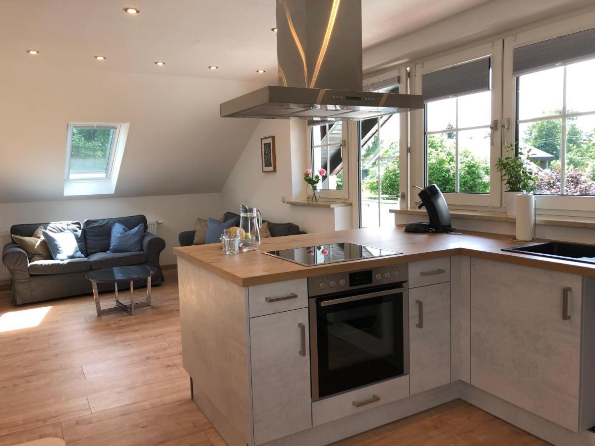 Haus Am Spitalgarten Fuer 10 Personen Gundelfingen an der Donau 외부 사진
